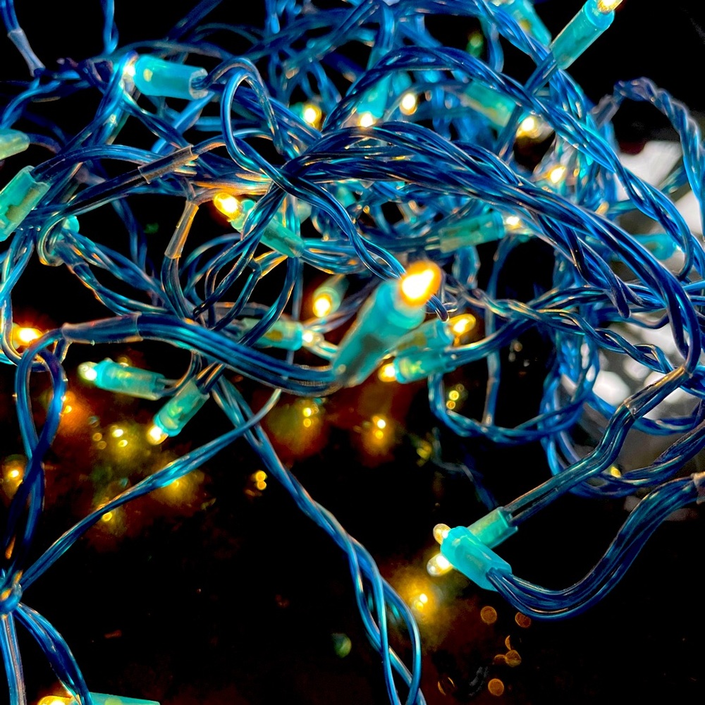 30’ Indoor String Light, White Lights With Blue Wiring
